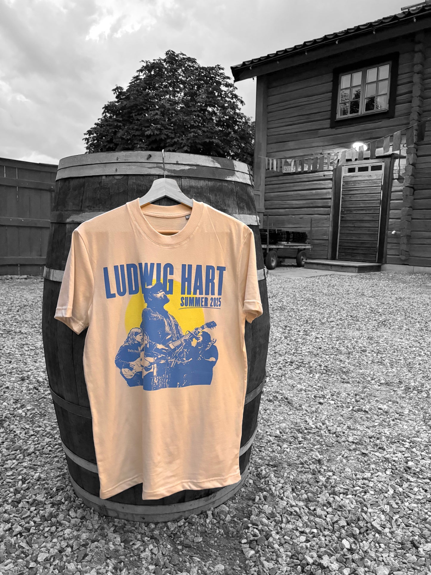 Summer Tour 2025 T-shirt