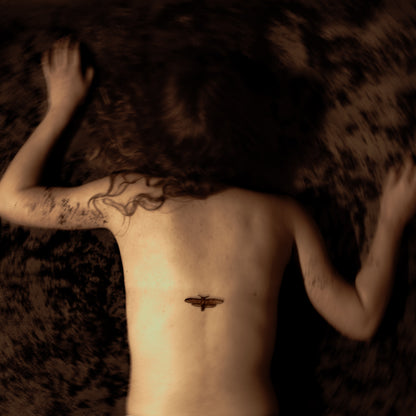 Aponia Vinyl Svart Ridå