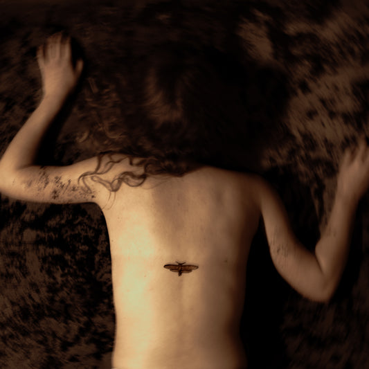 Aponia Vinyl Svart Ridå